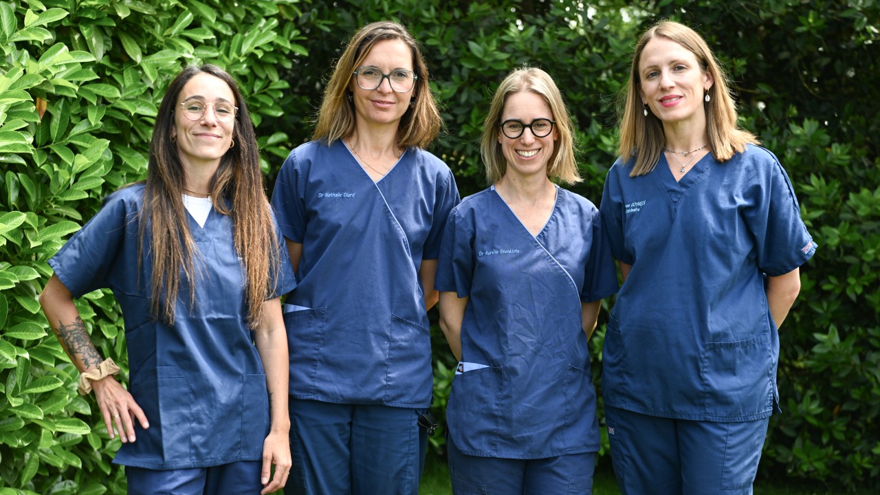 L'équipes des Docteurs Vétérinaires